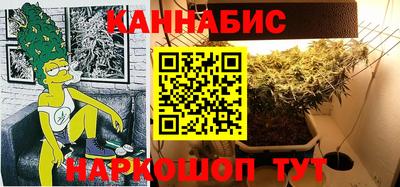 индика Беслан