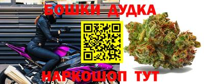 индика Беслан